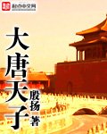 《大唐天子》