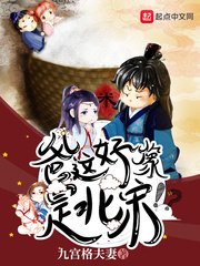 《爸这好像是北宋》