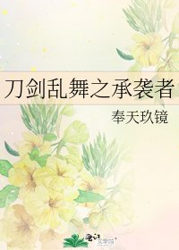 《刀剑乱舞之承袭者》