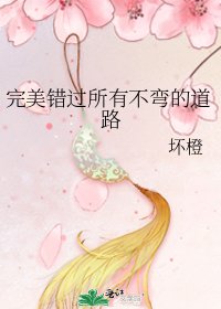 《完美错过所有不弯的道路》