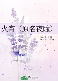 《火宵(原名夜瞳)》