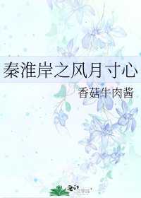 秦淮岸之风月寸心