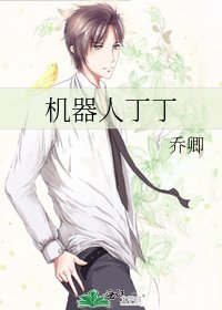 《机器人丁丁》
