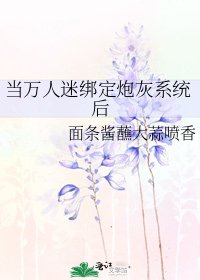 《当万人迷绑定炮灰系统后》