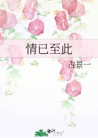 《情已至此》