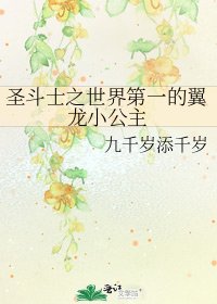 《圣斗士之世界第一的翼龙小公主》