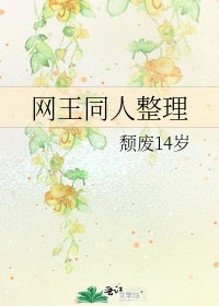 《网王同人整理》