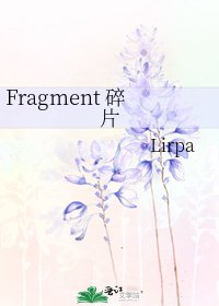 《Fragment 碎片》