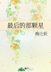最后的那颗星