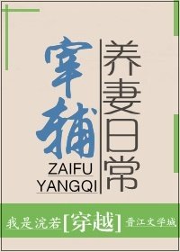 宰辅养妻婿常