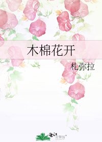 《木棉花开》