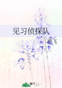 见习侦探队