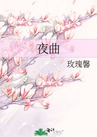 《夜曲》