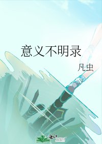 《意义不明录》