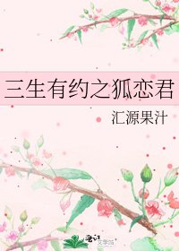 《三生有约之狐恋君》