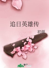 追日英雄传