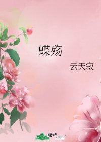 《蝶殇》