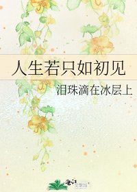《人生若只如初见》