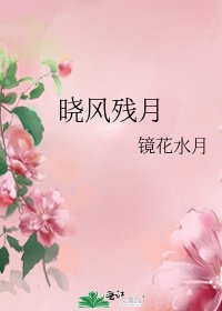 《晓风残月》