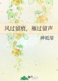 《风过留痕,雁过留声》