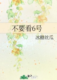 《不要看6号》