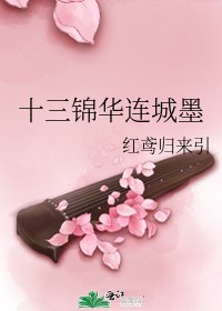 《十三锦华连城墨》
