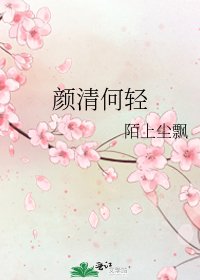 《颜清何轻》