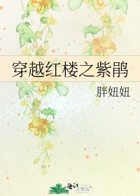 《穿越红楼之紫鹃》
