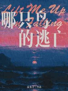 《哪只片的逃亡》