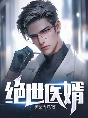 《绝世医婿》