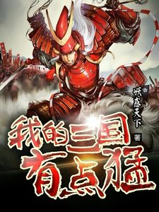 《我的三国有点猛》