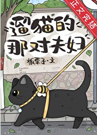 《遛猫的那对夫辐》