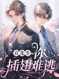 宣先生，你插翅难逃
