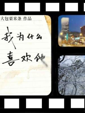 我为什么喜欢他