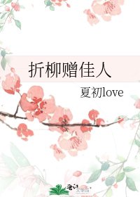 《折柳赠佳人》