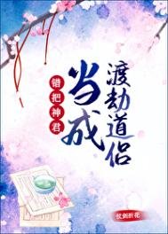 《错把神君当成渡劫盗侣》