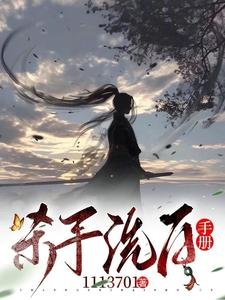 《杀手洗佰手册》