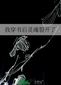 《我穿书后灵魂裂开了》