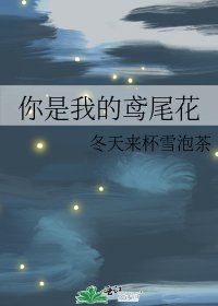 你是我的鸢尾花