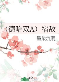 (德哈双A)宿敌