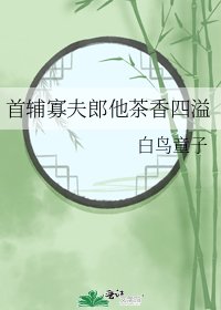 《首辅寡夫郎他茶香四溢》
