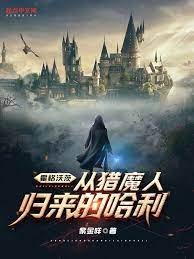 《(HP同人)霍格沃茨:从猎魔人归来的哈利》