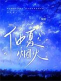 《仲夏烟火》