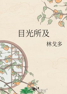 《目光所及》