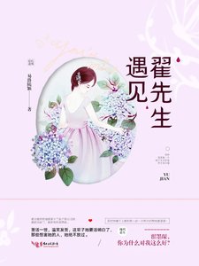 《遇见翟先生》
