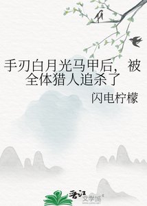 《手刃白月光马甲后,被全体猎人追杀了》