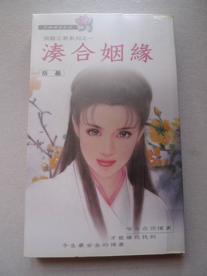 凑合姻缘(洞庭三君系列之一)
