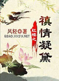 《(BG/红楼同人)红楼之禛情凝黛》